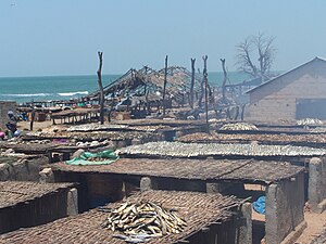 Fish being smoked in Tanji, Gambia TanjiSmoking.jpg