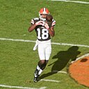 Taylor Gabriel: Age & Birthday