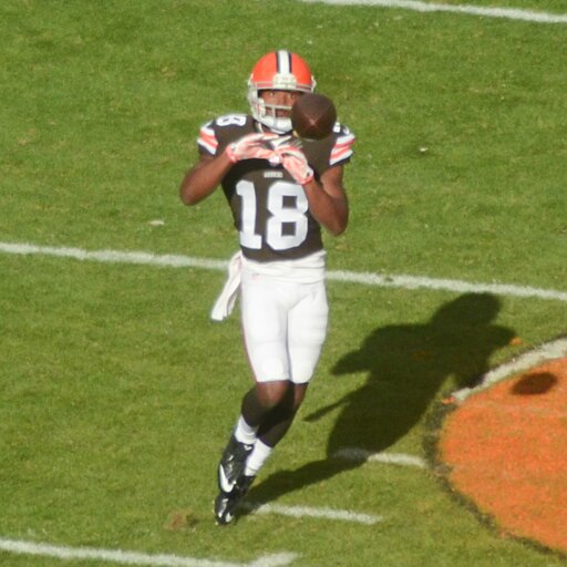 Taylor Gabriel