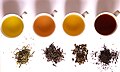 Different tea colors