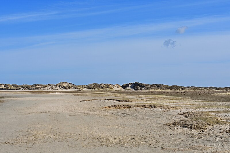 File:Texel De Slufter 23.jpg