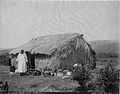 Thatched grass house in Honolulu, photograph by Frank Davey (PPWD-6-3.012).jpg