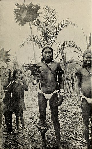 <span class="mw-page-title-main">Witoto</span> South American Indigenous people
