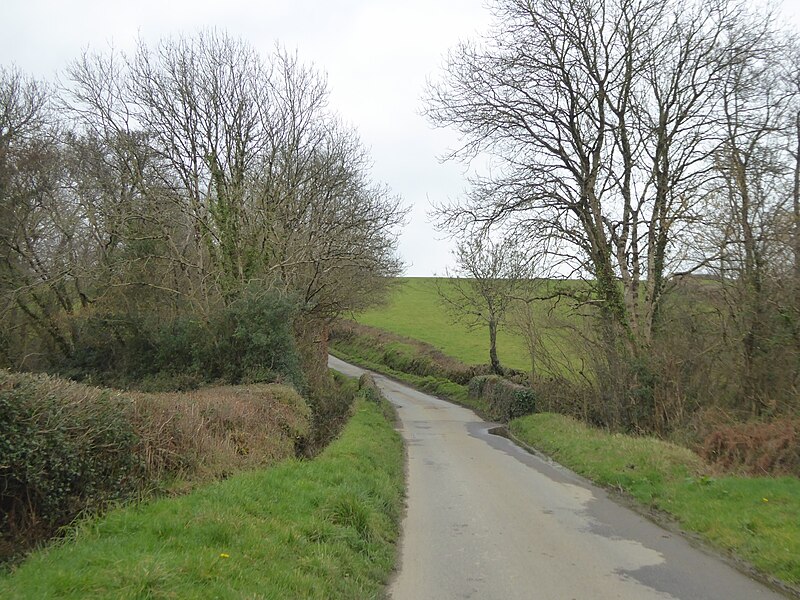 File:The bridge at Haddacott Cottage - geograph.org.uk - 5318162.jpg