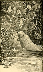 Thumbnail for File:The world of the great forest; how animals, birds, reptiles, insects talk, think, work, and live (1900) (14746285194).jpg