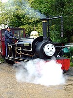 Thomas tank engine day Bressingham.jpg