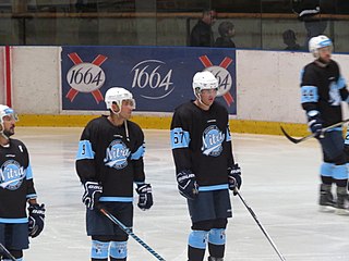 <span class="mw-page-title-main">Matej Paulovič</span> Slovak professional ice hockey player (born 1995)