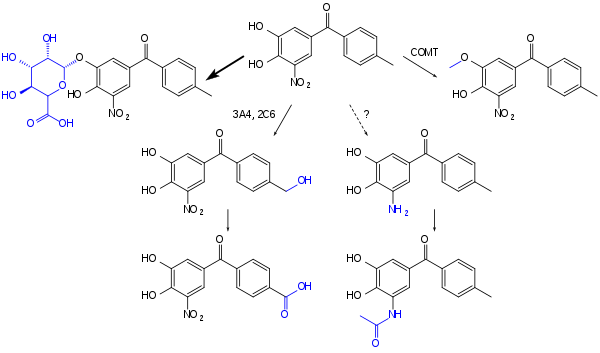 Tolcapone and its metabolites. The reduction to the amine and subsequent N-acetylation is putative. Tolcapone metabolism.svg