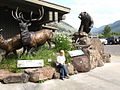 Tourist centre, Jackson Hole Wyoming - panoramio.jpg