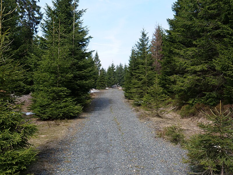 File:Track from Clausthaler Flutgraben to Harzhochstraße 03.jpg