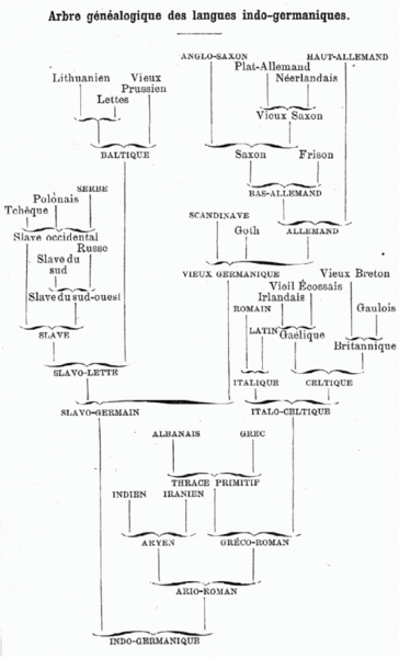 File:Tree diagram of Indo-European languages, by Haeckel (1874).png