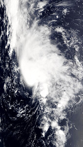 File:Tropical Storm Dolly 03 sept 2002 1400Z.jpg