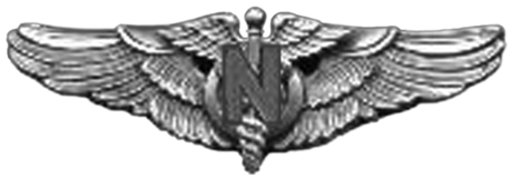 Flight Nurse Badge