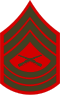 Знак отличия E-8