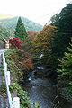 秋の鶴川 Tsurukawa (A branch of Sagami River) in autumn.