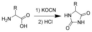 Urech hydantoin synthesis