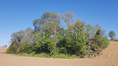 Valkenburg Auvermansboschke (13)