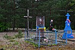 Velymche Ratnivskyi Volynska-grave of soviet warrior Ryazanskyi.jpg