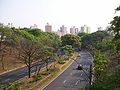 Vista a partir do viaduto da Av. General Carneiro - o Centro ao fundo.