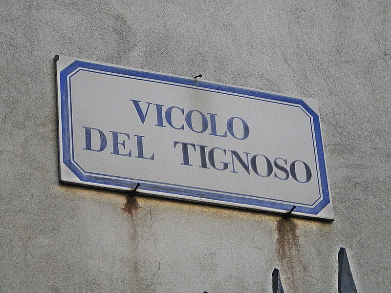 File:Vicolo del Tignoso.jpg