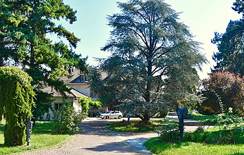 La villa Greta abritant le musée de la fondation Otto et Régine Heim.