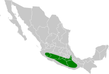 Vireo brevipennis map.svg