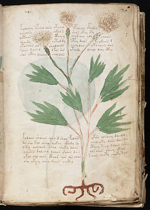 A page from the mysterious Voynich manuscript,...