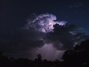 Cumulonimbus calvus with cloud-to-cloud lightning Wagga-cb-7dec05.jpg