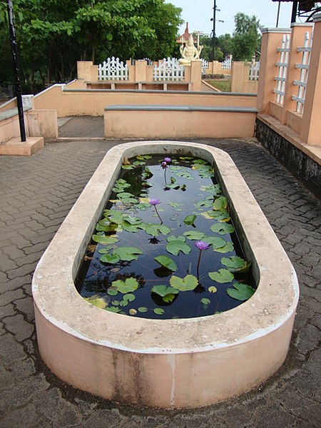 File:Water lily pond (4273782410).jpg