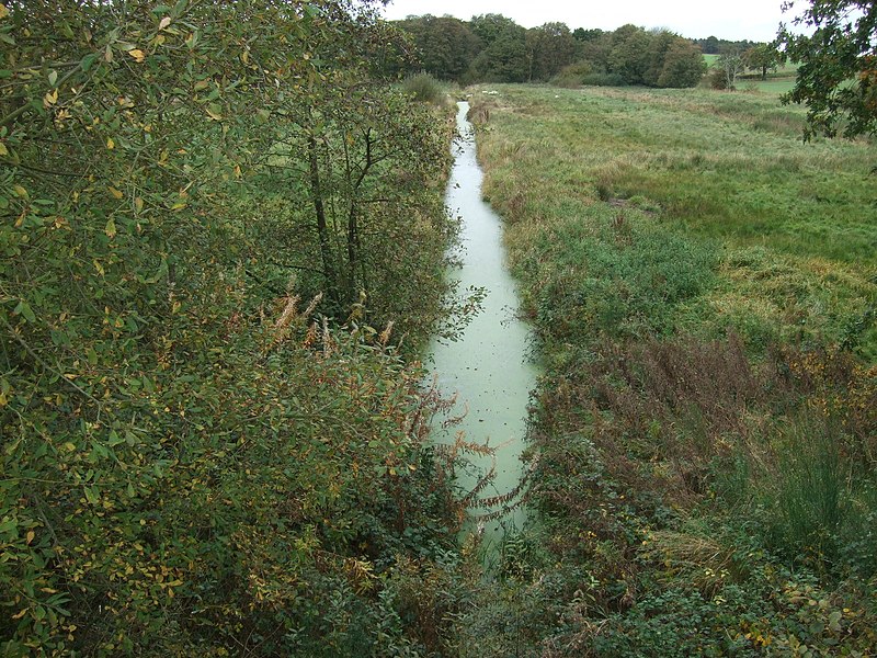 File:Weavers Way, disused canal from footbridge near Briggate - geograph.org.uk - 3833742.jpg