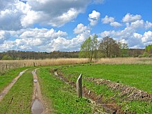 Auf dem Weg zur Aue im Frühjahr