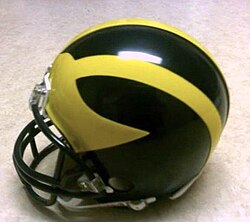 michigan helmet design