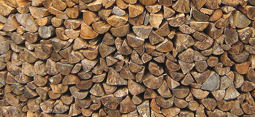 Wood in a woodpile in Denmark