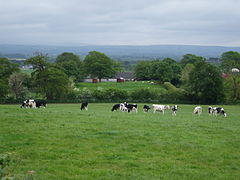 Wooden Sheds stand on a castle site (geograph 4004166).jpg