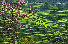 County Wuyuan, Jiangxi: Daerah di Jiangxi, Republik Rakyat Tiongkok