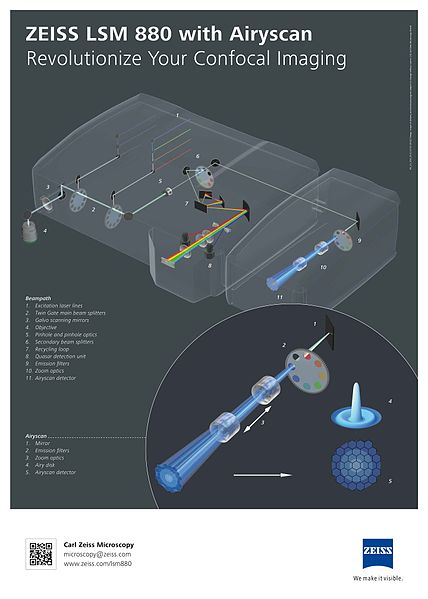 File:ZEISS LSM 880 with Airyscan (14647584907).jpg