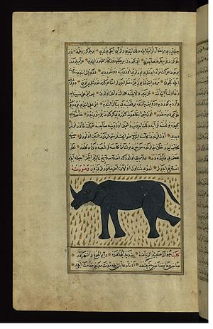 Zakariya ibn Muhammad Qazwini - A Rhinoceros - Walters W659112A - Full Page.jpg