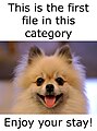 ! - 0 - First file in this category.jpg