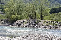 Šavnik (river)