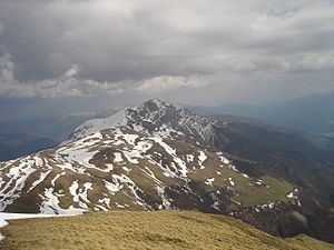 Pogled na greben i na najviši vrh Krčina.