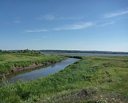 Устье реки Шолья