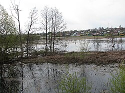 В районе посёлка Мстёра во время весеннего половодья