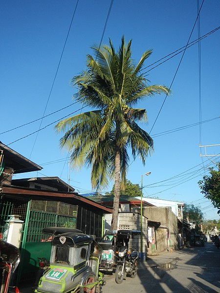 File:0002jfTiaong San Jose Roads Chapel Baliuag Bulacanfvf 35.jpg