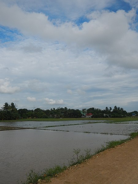 File:08388jfPulilan Bulacan Center Landmarks Roadsfvf 14.jpg