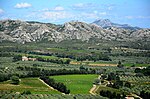 Vignette pour Olives cassées de la vallée des Baux-de-Provence