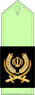 general de brigada