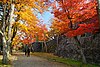 171103 Morioka Castle Morioka Iwate pref Japan01s3.jpg