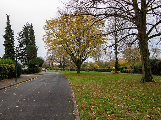 2023 11 16 Gastendonkstraße (Krefeld) (2)