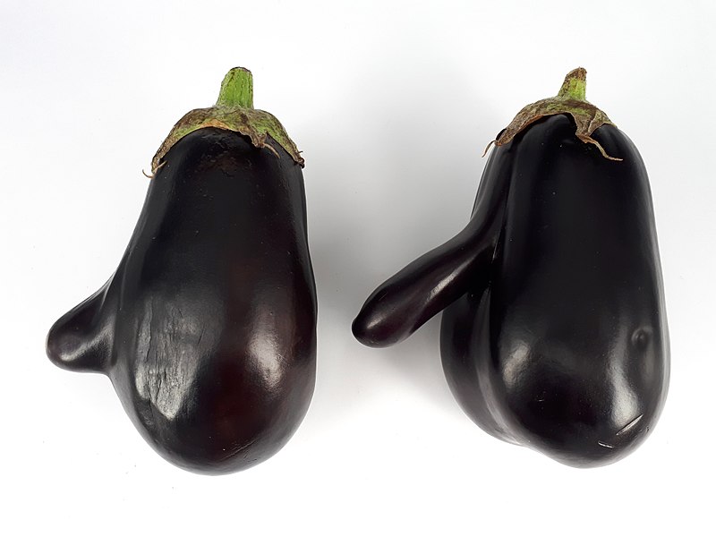 File:2 x Mutant eggplant 2017 A.jpg