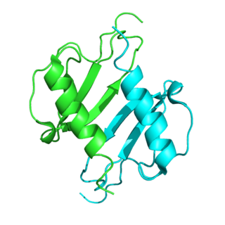 <span class="mw-page-title-main">CXCL5</span> Mammalian protein found in Homo sapiens